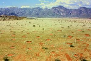 Vilinski krugovi u Namibijskoj pustinji