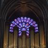 Orgulje Notre Dame