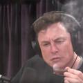 Elon Musk puši marihuanu