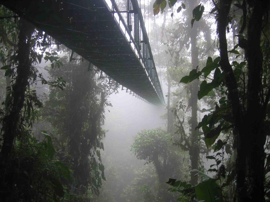 Oblačne šume | Author: Wikipedia