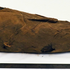Arheološko istraživanje korištenja svetog ibisa u vjerskom životu drevnog Egipta