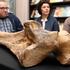 Ostaci mamuta koji je nekad obitavao na području Siska