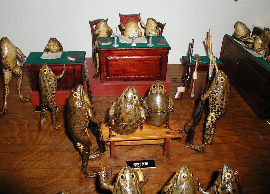 Kolekcija prepariranih žaba Ivana Medvešeka | Author: Ivo Cagalj (PIXSELL)