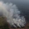 Amazonska prašuma u plamenu