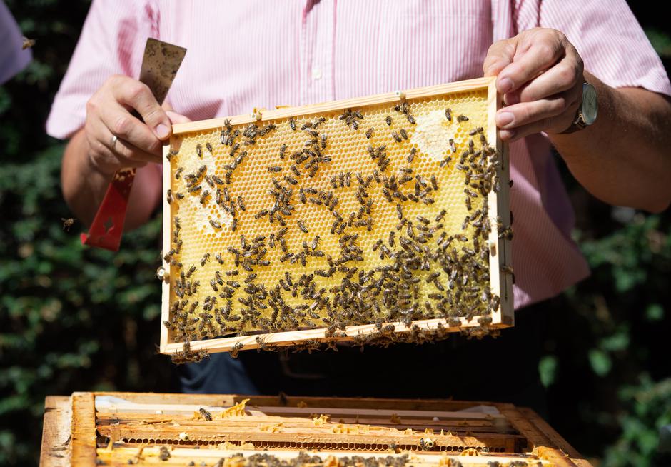Pčelar sa svojom košnicom | Author: Lisa Ducret/ DPA/ Pixsell