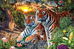 Optička iluzija s tigrovima