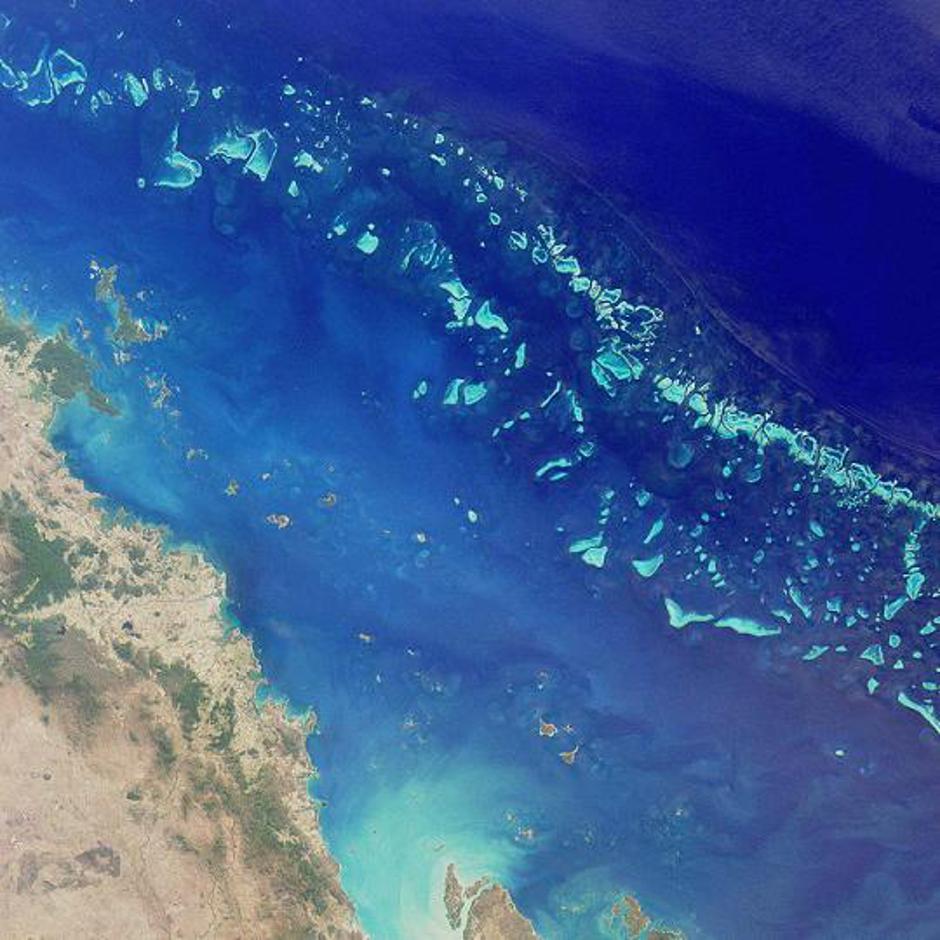 Veliki koraljni greben | Author: Wikipedia