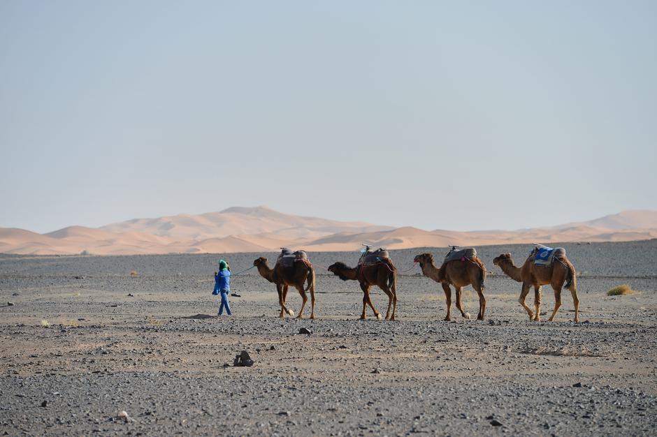 Sahara | Author: Frank May/DPA/PIXSELL