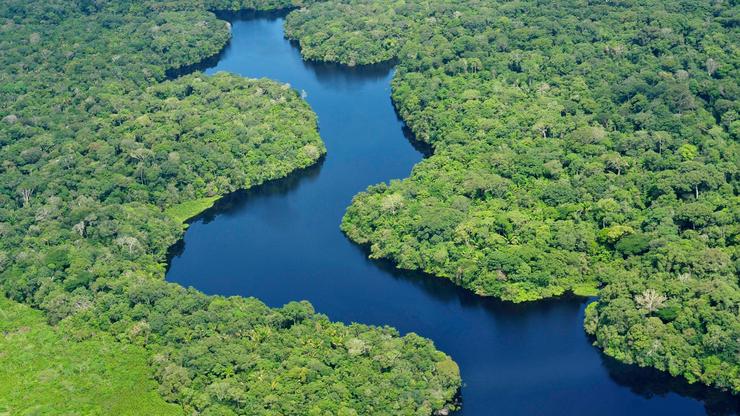 Amazonska prašuma