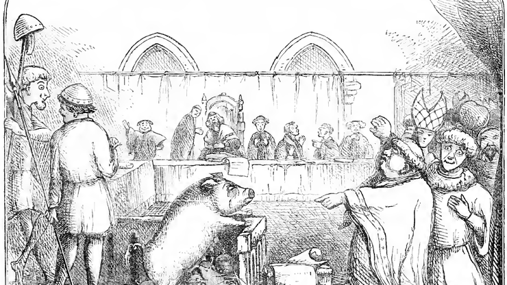 Svinja na sudu, grafika o slučaju iz Lavegnyja iz 1457.