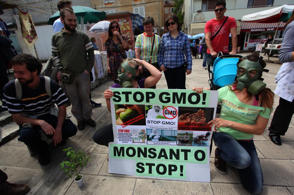 Prosvjed protiv Monsanta, proizvođača GMO sjemena | Author: Zeljko Mrsic (PIXSELL)