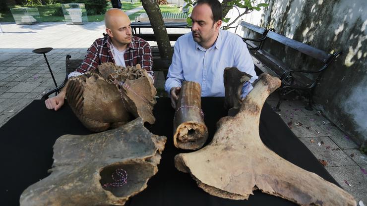 Ostaci mamuta koji je nekad obitavao na području Siska