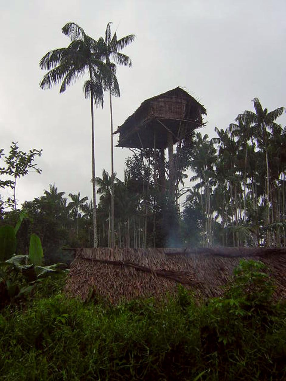 Pleme Korowai u Indoneziji | Author: Wikimedia Commons