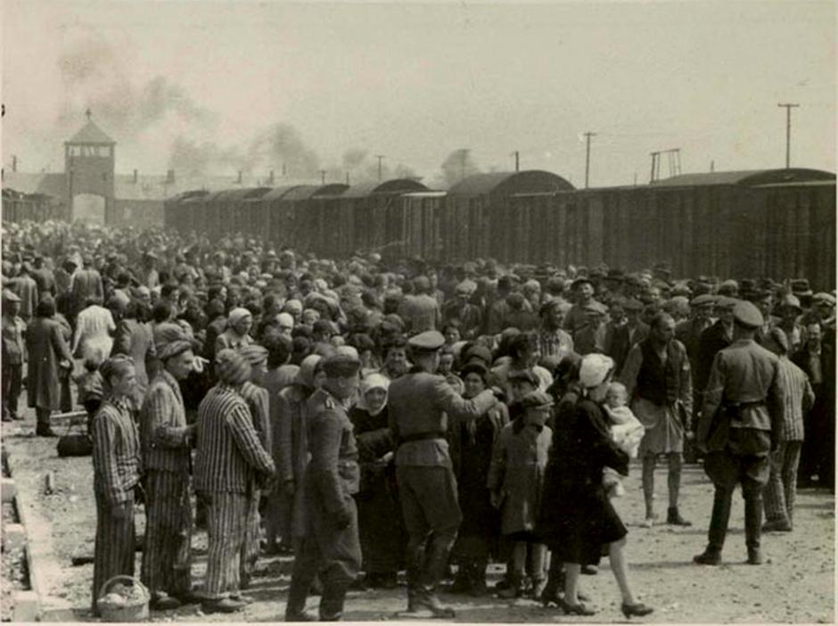 Auschwitz | Author: Wikipedia