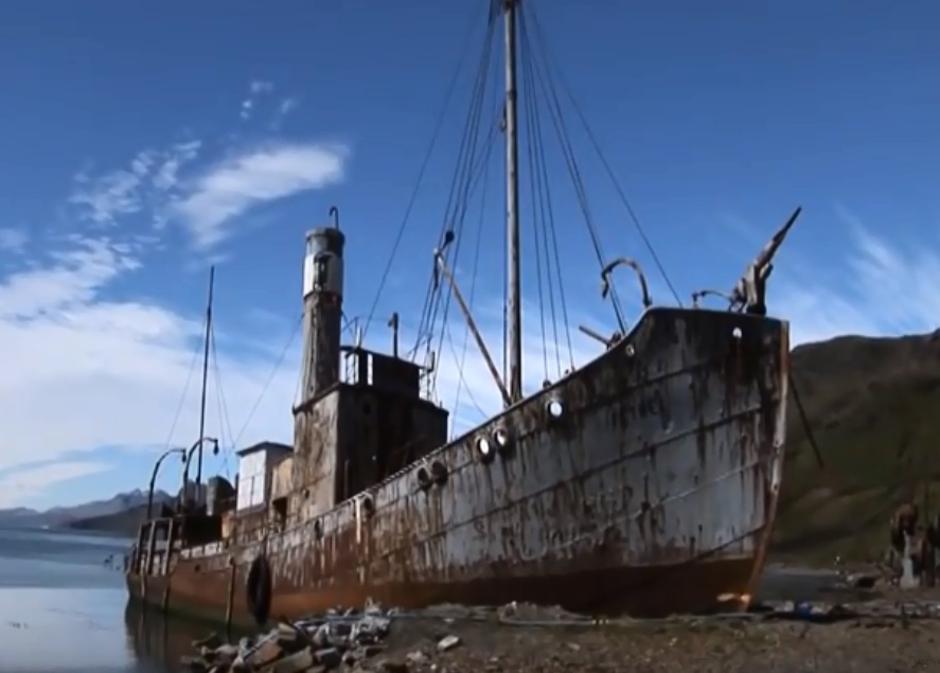 Otok na kojem su se ubijali kitovi Grytviken | Author: Screenshot/Youtube