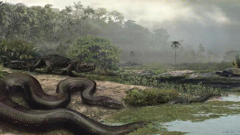 Najveća zmija na svijetu Titanboa | Author: Screenshot