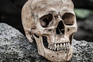 Ljudski ostaci pronađeni u Poljskoj